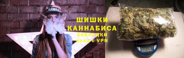 крисы Липки