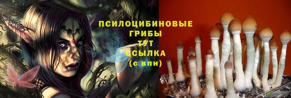 крисы Липки