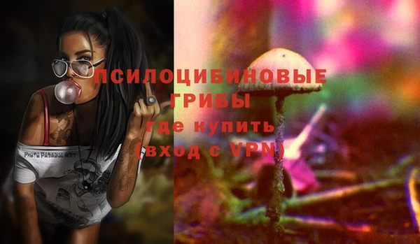 СК Ладушкин