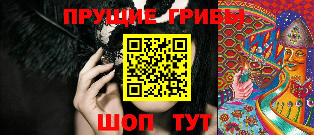Домодедово  Галлюциногенные грибы Psilocybine cubensis  Вход с VPN 