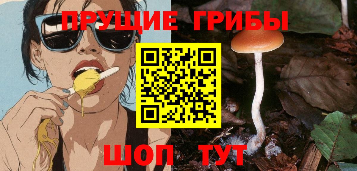 Псилоцибиновые грибы Psilocybine cubensis Домодедово