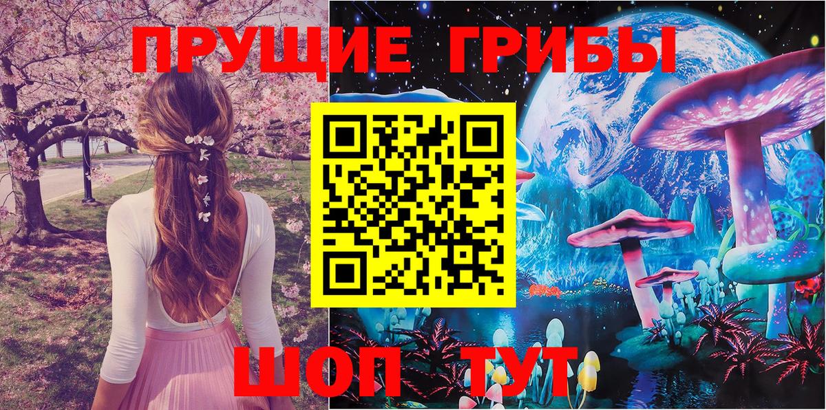 Псилоцибиновые грибы MAGIC MUSHROOMS Домодедово